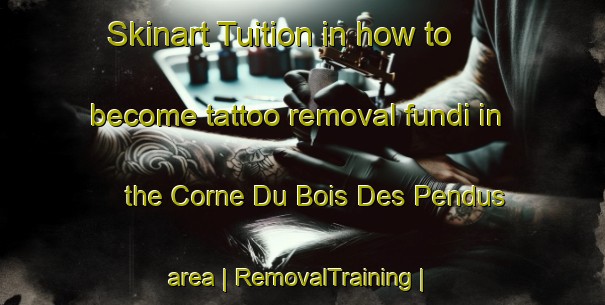Skinart Tuition in how to become tattoo removal fundi in the Corne Du Bois Des Pendus area | RemovalTraining | RemovalClasses | SkinartTraining-Belgium